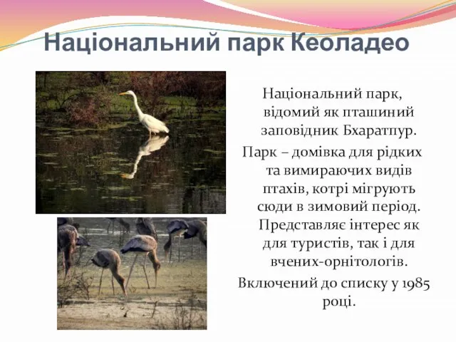 Національний парк Кеоладео Національний парк, відомий як пташиний заповідник Бхаратпур. Парк