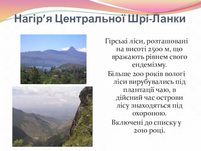 Нагір’я Центральної Шрі-Ланки Гірські ліси, розташовані на висоті 2500 м, що