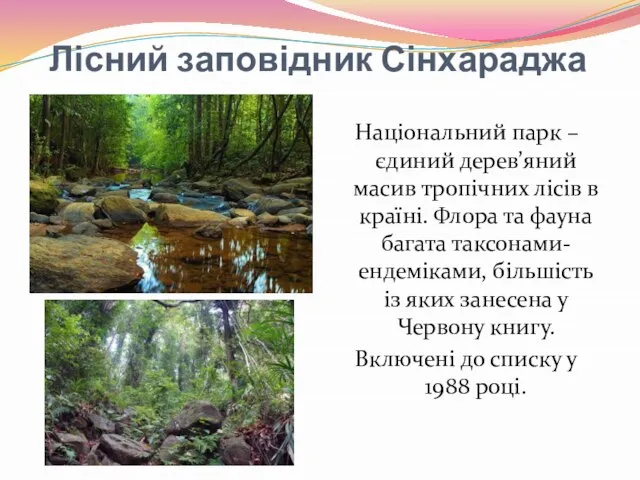 Лісний заповідник Сінхараджа Національний парк – єдиний дерев’яний масив тропічних лісів