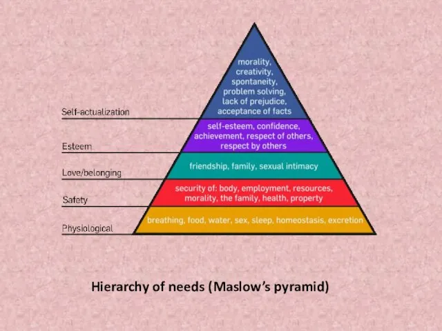 Hierarchy of needs (Maslow’s pyramid)