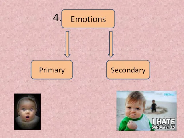 4. . Emotions Primary Secondary