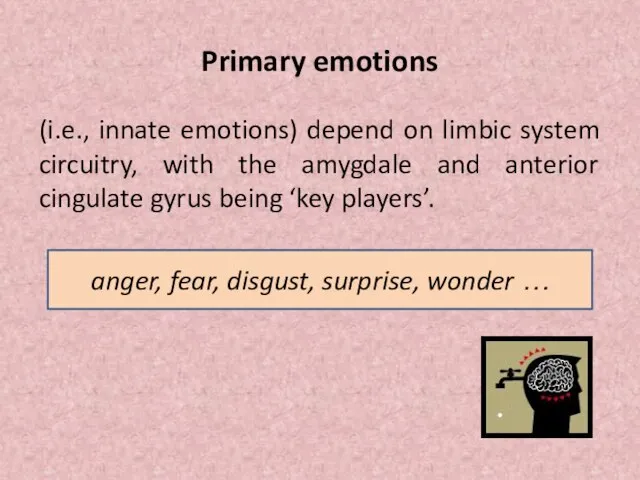 Primary emotions (i.e., innate emotions) depend on limbic system circuitry, with