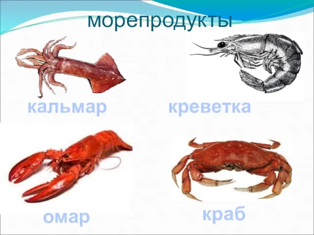 морепродукты кальмар креветка омар краб