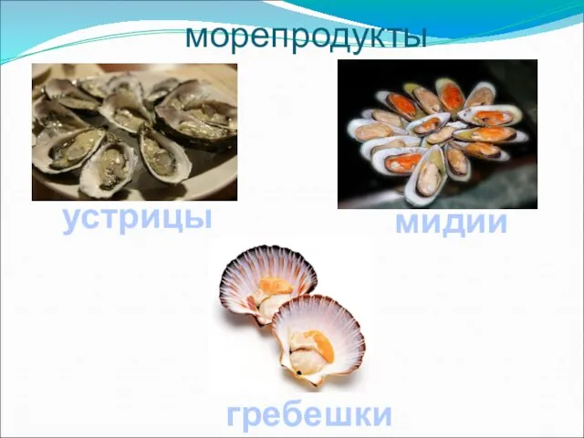 морепродукты устрицы мидии гребешки