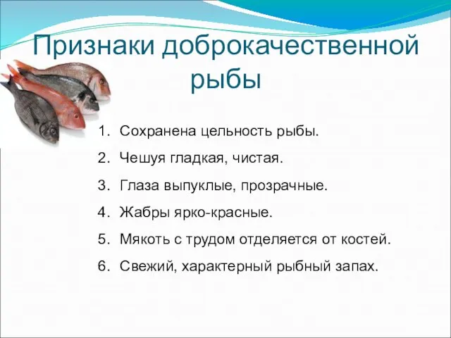 Признаки доброкачественной рыбы Сохранена цельность рыбы. Чешуя гладкая, чистая. Глаза выпуклые,