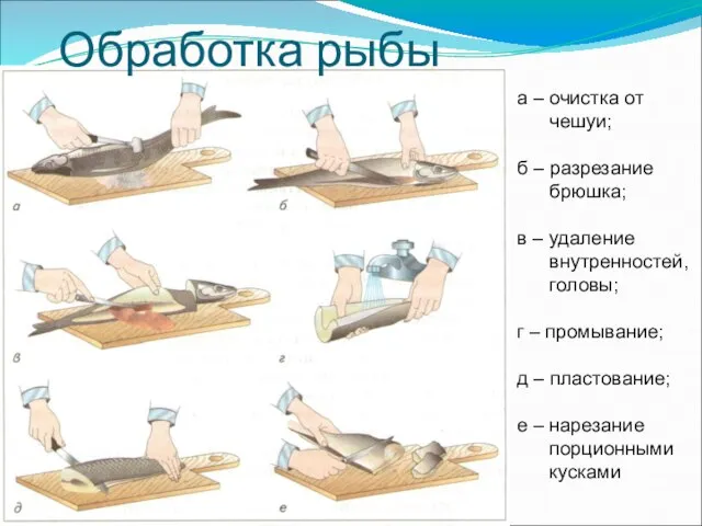 а – очистка от чешуи; б – разрезание брюшка; в –