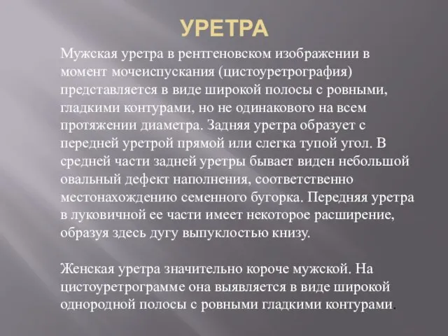 УРЕТРА Мужская уретра в рентгеновском изображении в момент мочеиспускания (цистоуретрография) представляется