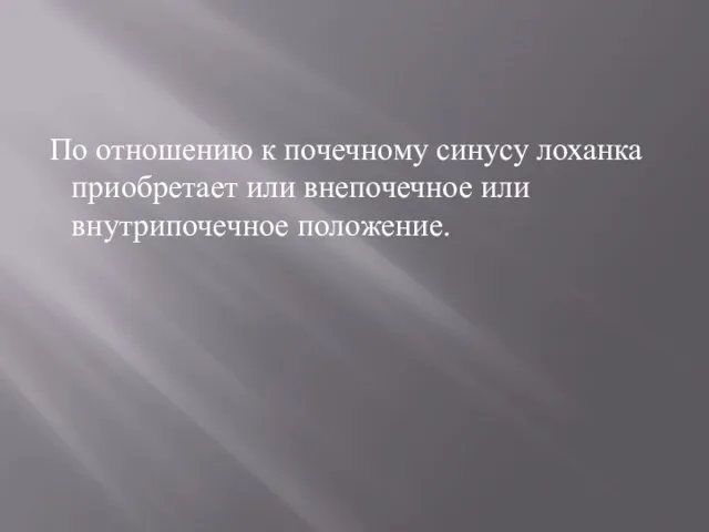 По отношению к почечному синусу лоханка приобретает или внепочечное или внутрипочечное положение.