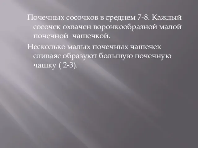 Почечных сосочков в среднем 7-8. Каждый сосочек охвачен воронкообразной малой почечной