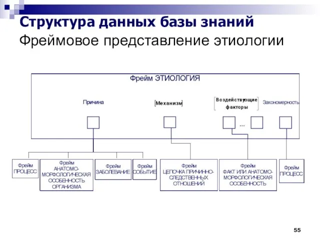 Фреймовое представление этиологии Структура данных базы знаний