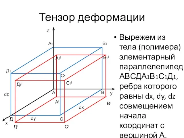 Тензор деформации Вырежем из тела (полимера) элементарный параллелепипед АВСДА1В1С1Д1, ребра которого