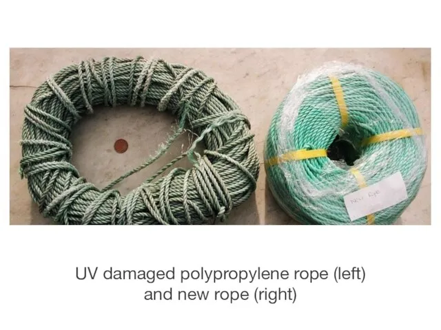 UV damaged polypropylene rope (left) and new rope (right)