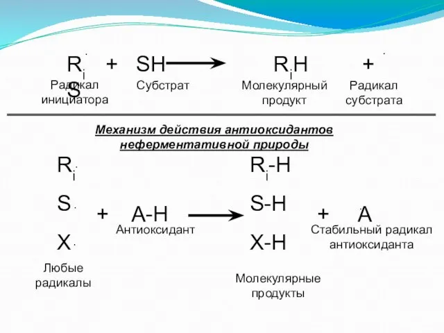 Ri + SH RiH + S ∙ Радикал инициатора Субстрат Молекулярный