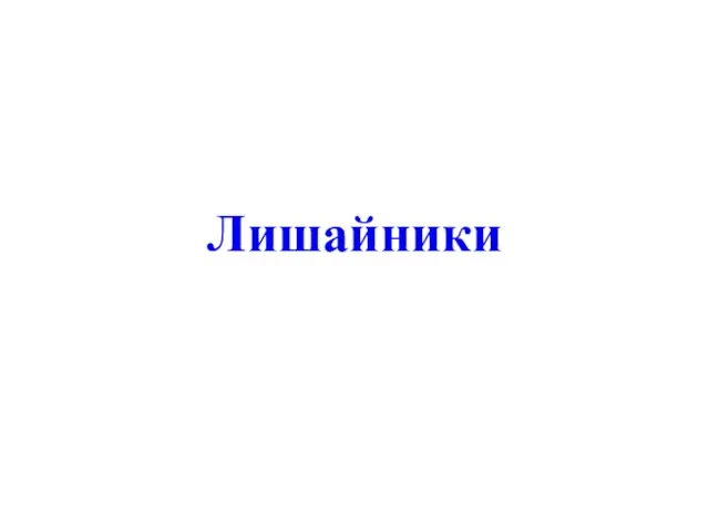 Лишайники