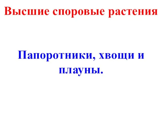 Папоротники, хвощи и плауны. Высшие споровые растения