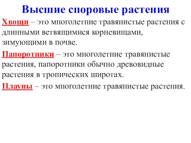 Хвощи – это многолетние травянистые растения с длинными ветвящимися корневищами, зимующими