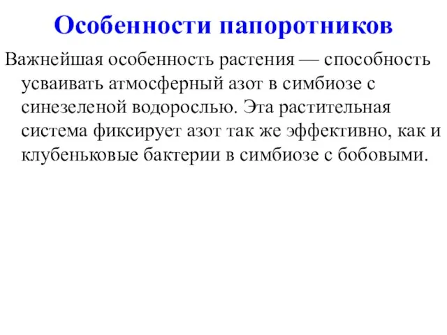 Особенности папоротников Важнейшая особенность растения — способность усваивать атмосферный азот в