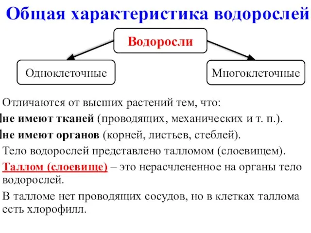 Отличаются от высших растений тем, что: не имеют тканей (проводящих, механических