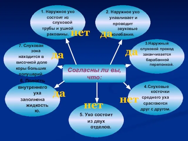 Согласны ли вы, что: 1. Наружное ухо состоит из слуховой трубы