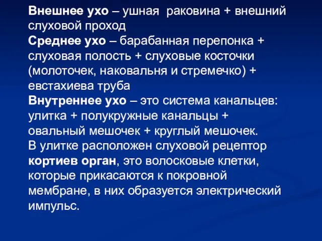 Внешнее ухо – ушная раковина + внешний слуховой проход Среднее ухо