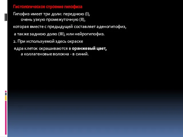 Гистологическое строение гипофиза Гипофиз имеет три доли: переднюю (I), очень узкую