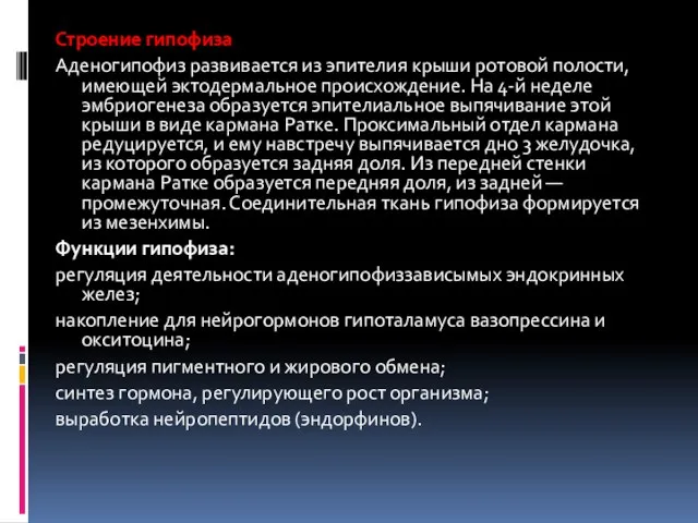 Строение гипофиза Аденогипофиз развивается из эпителия крыши ротовой полости, имеющей эктодермальное