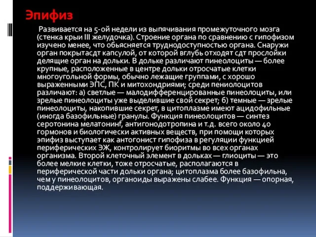 Эпифиз Развивается на 5-ой недели из выпячивания промежуточного мозга (стенка крыи