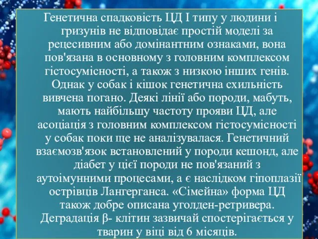 Генетична спадковість ЦД І типу у людини і гризунів не відповідає