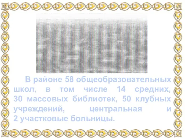 В районе 58 общеобразовательных школ, в том числе 14 средних, 30