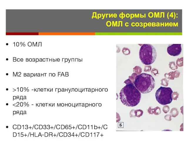 Другие формы ОМЛ (4): ОМЛ с созреванием 10% ОМЛ Все возрастные