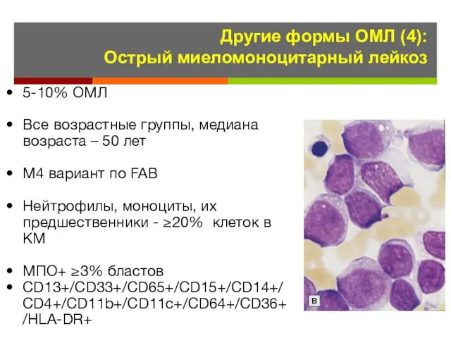 Другие формы ОМЛ (4): Острый миеломоноцитарный лейкоз 5-10% ОМЛ Все возрастные