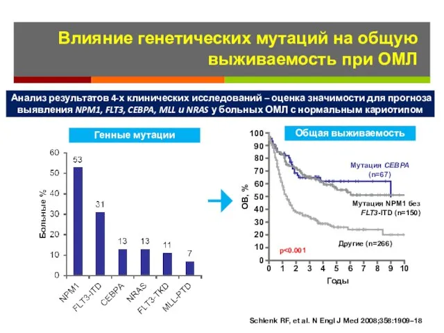 Влияние генетических мутаций на общую выживаемость при ОМЛ Genetic mutations Schlenk