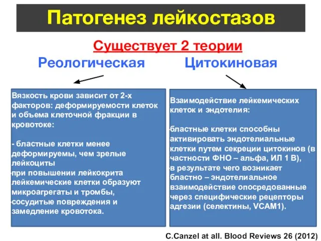 Патогенез лейкостазов Существует 2 теории Реологическая Цитокиновая С.Canzel at all. Blood Reviews 26 (2012) 117-122