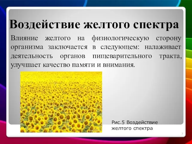 Воздействие желтого спектра Влияние желтого на физиологическую сторону организма заключается в