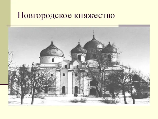 Новгородское княжество