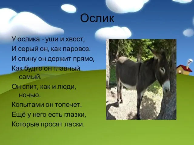 Ослик У ослика - уши и хвост, И серый он, как