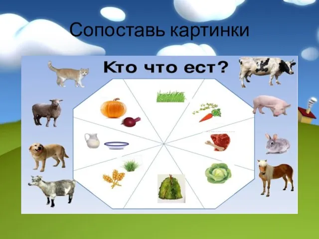 Сопоставь картинки