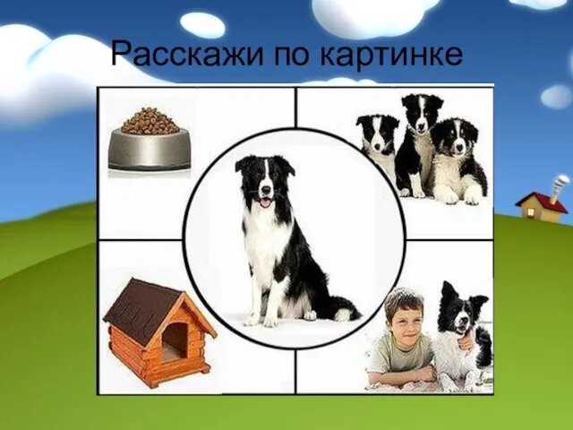 Расскажи по картинке