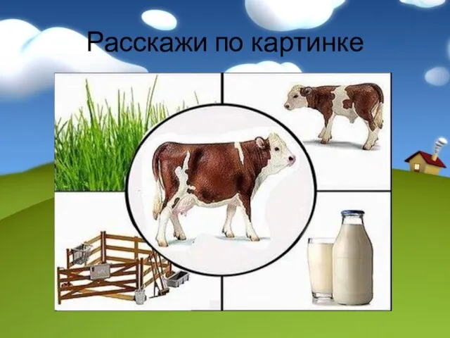 Расскажи по картинке