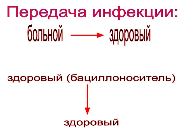 Передача инфекции: больной здоровый здоровый (бациллоноситель) здоровый