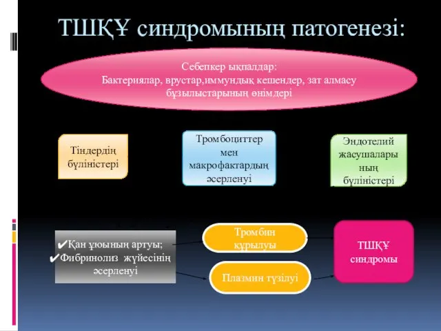 ТШҚҰ синдромының патогенезі: Себепкер ықпалдар: Бактериялар, врустар,иммундық кешендер, зат алмасу бұзылыстарының