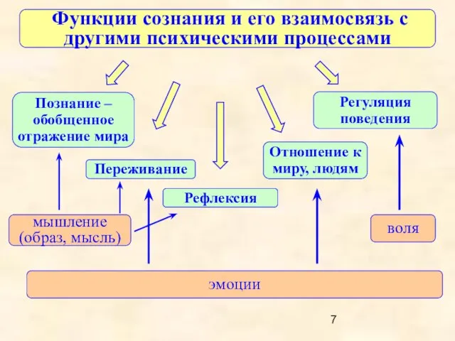 Функции сознания и его взаимосвязь с другими психическими процессами Рефлексия Познание