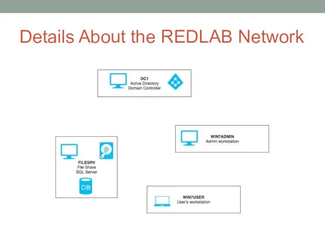 Details About the REDLAB Network