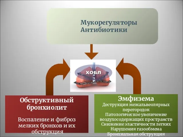 ХОБЛ Хронический бронхит Бронхиальная гиперсекреция Продуктивный кашель ≥ 3 мес/год ≥