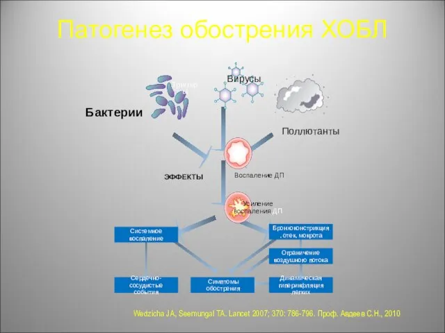 Патогенез обострения ХОБЛ Системное воспаление Бронхоконстрикция, отек, мокрота Ограничение воздушного потока