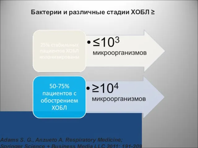 Бактерии и различные стадии ХОБЛ ≥ Adams S. G., Anzueto A.