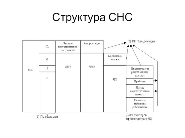 Структура СНС