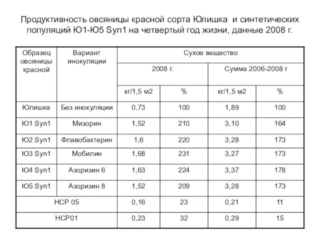 Продуктивность овсяницы красной сорта Юлишка и синтетических популяций Ю1-Ю5 Syn1 на