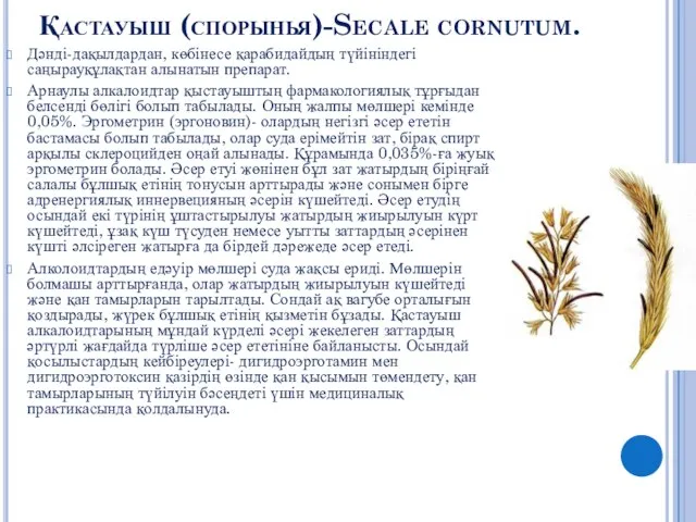 Қастауыш (спорынья)-Secale cornutum. Дәнді-дақылдардан, көбінесе қарабидайдың түйініндегі саңырауқұлақтан алынатын препарат. Арнаулы