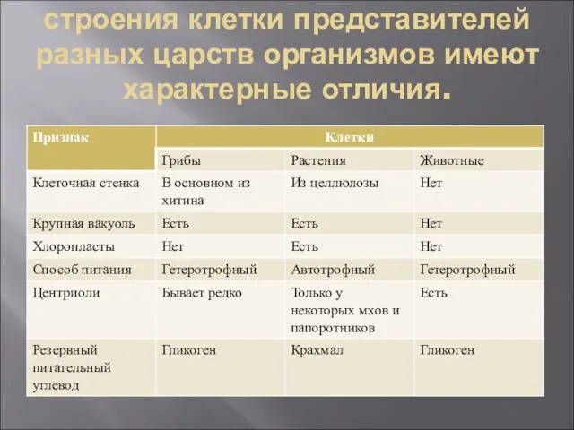 строения клетки представителей разных царств организмов имеют характерные отличия.